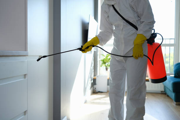 Best Commercial Mold Inspection  in Malabar, FL